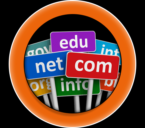 Domain Web Hosting